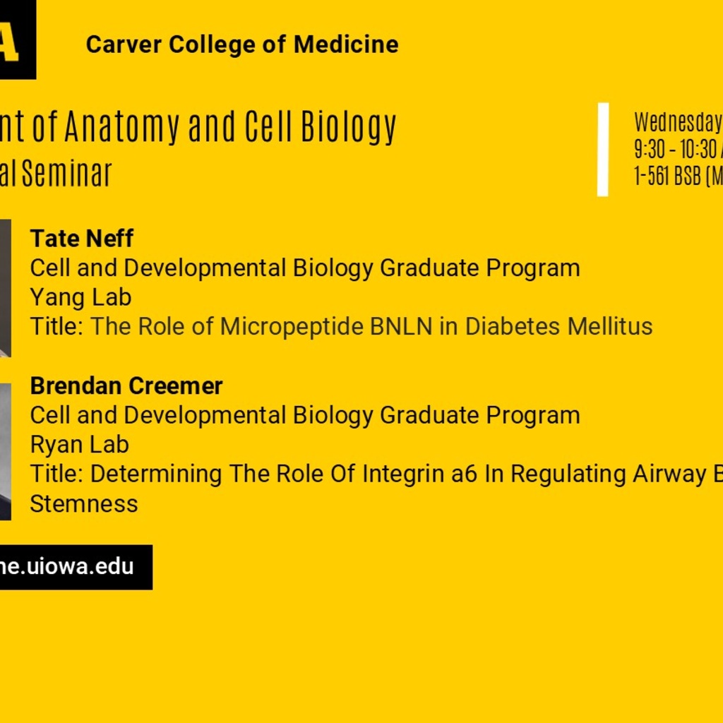 ACB Seminar Series - Tate Neff and Brendan Creemer  promotional image