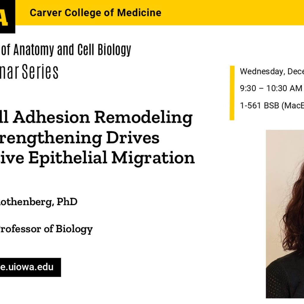 ACB Seminar Series - Katheryn Rothenberg  promotional image